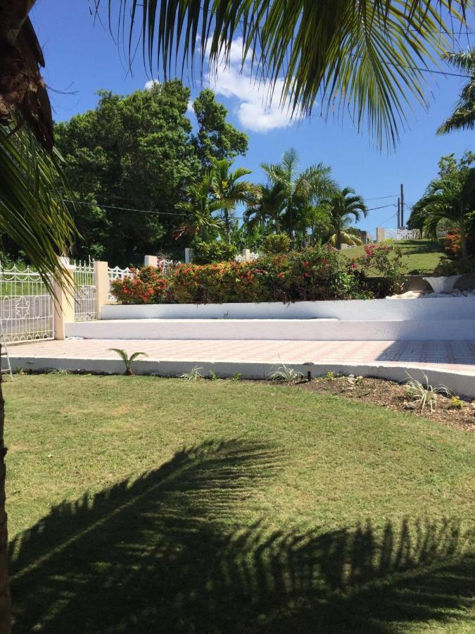 Goldenview Guesthouse Ocho Rios Buitenkant foto
